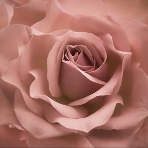 Meet your Posher, Anita